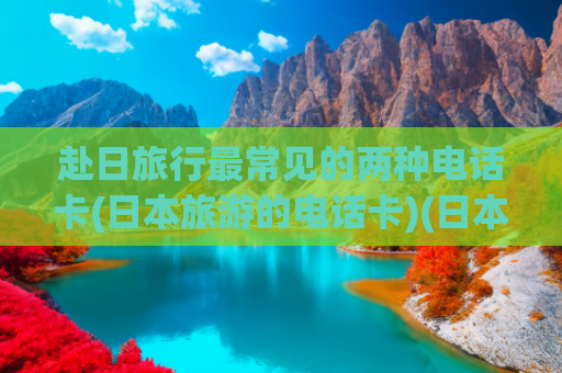 赴日旅行最常见的两种电话卡(日本旅游的电话卡)(日本旅游必备行李清单，进来查缺补漏！)