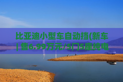 比亚迪小型车自动挡(新车 | 售6.99万元/5门5座纯电小型车，2025款江淮钇为3自由版到店)