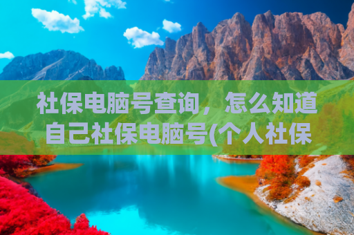社保电脑号查询，怎么知道自己社保电脑号(个人社保查询指南)
