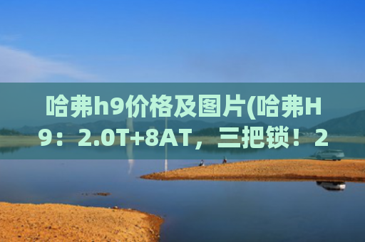 哈弗h9价格及图片(哈弗H9：2.0T+8AT，三把锁！20.59万起售，网友：这价格没槽点！)