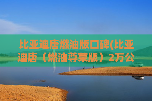 比亚迪唐燃油版口碑(比亚迪唐（燃油尊荣版）2万公里用车体验)