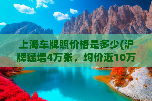 上海车牌照价格是多少(沪牌猛增4万张，均价近10万！业内人士：先拍，不要还能转手卖)