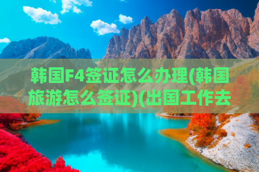 韩国F4签证怎么办理(韩国旅游怎么签证)(出国工作去韩国都有哪些签证类型？)