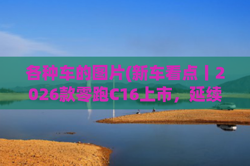 各种车的图片(新车看点丨2026款零跑C16上市，延续“人无我有”模式)