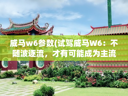 威马w6参数(试驾威马W6：不随波逐流，才有可能成为主流)