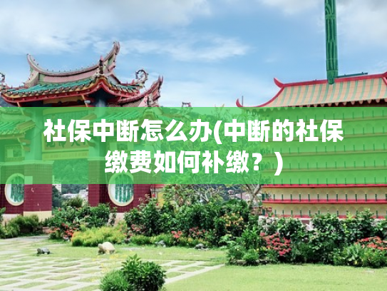 社保中断怎么办(中断的社保缴费如何补缴？)