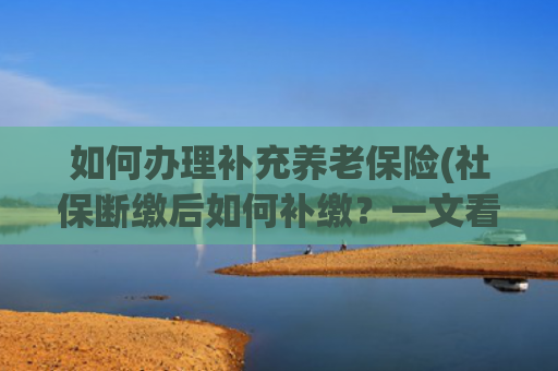 如何办理补充养老保险(社保断缴后如何补缴？一文看懂补缴全流程2025最新社保指南)
