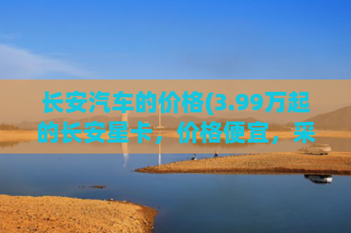 长安汽车的价格(3.99万起的长安星卡，价格便宜，采用1.5L四缸，动力不差)
