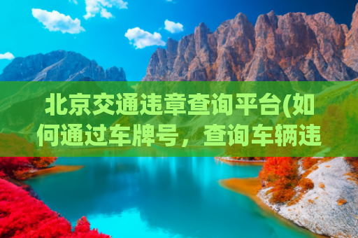 北京交通违章查询平台(如何通过车牌号，查询车辆违章信息？实时违章查询方法介绍！)