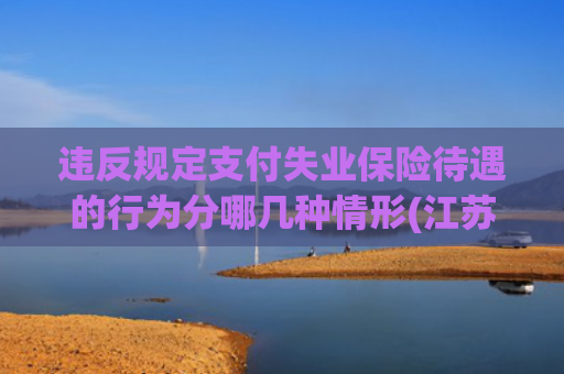 违反规定支付失业保险待遇的行为分哪几种情形(江苏省失业保险规定(2024))