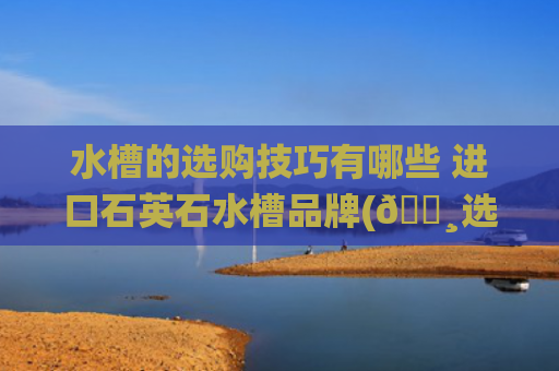 水槽的选购技巧有哪些 进口石英石水槽品牌(😸选石英石水槽真的香！不后悔的选择)