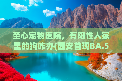圣心宠物医院，有阳性人家里的狗咋办(西安首现BA.5新冠本土疫情，专家：免疫逃逸增强，疫苗仍有效)