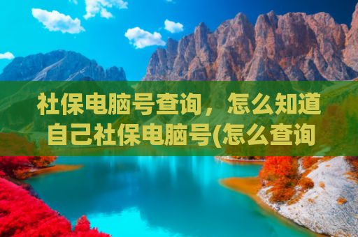 社保电脑号查询，怎么知道自己社保电脑号(怎么查询深圳社保号个人号)
