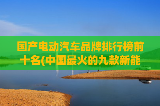 国产电动汽车品牌排行榜前十名(中国最火的九款新能源车：比亚迪、特斯拉、蔚来上榜)