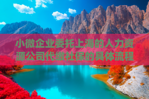 小微企业委托上海的人力资源公司代缴社保的具体流程有哪些(上海个人怎样缴纳社保费用？上海社保代缴平台？)