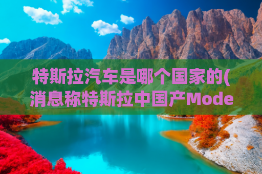 特斯拉汽车是哪个国家的(消息称特斯拉中国产Model Y已运抵印度，下月开设展厅)