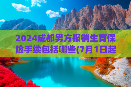 2024成都男方报销生育保险手续包括哪些(7月1日起，沈阳生育津贴发放方式有重大调整！)