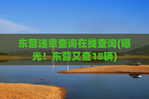 东营违章查询在线查询(曝光！东营又查18辆)