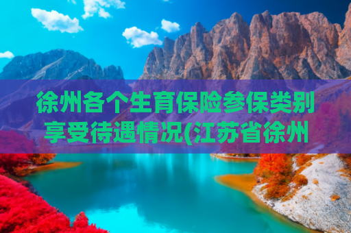 徐州各个生育保险参保类别享受待遇情况(江苏省徐州市生育津贴及生育保险政策最新规定（2025年3月）)
