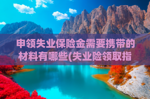 申领失业保险金需要携带的材料有哪些(失业险领取指南：保障失业后的生活)