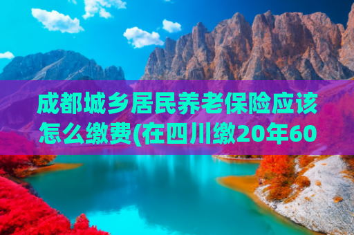 成都城乡居民养老保险应该怎么缴费(在四川缴20年6000元城乡居民，比缴60档灵活就业，养老金差多少？)