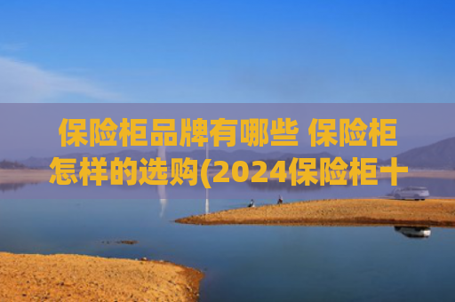 保险柜品牌有哪些 保险柜怎样的选购(2024保险柜十大品牌排行榜，哪个品牌好)