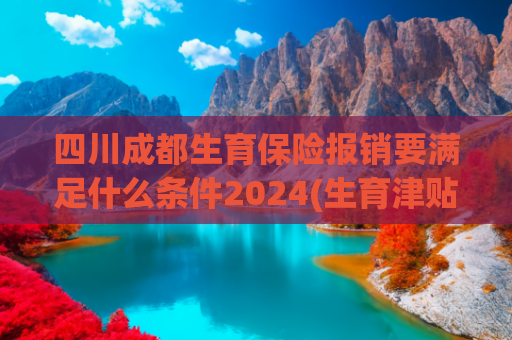 四川成都生育保险报销要满足什么条件2024(生育津贴直发个人 生育环境如何更友好？)