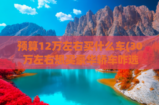 预算12万左右买什么车(30 万左右想买豪华轿车咋选？阿维塔 12 和极氪 001 试驾体验大 PK)