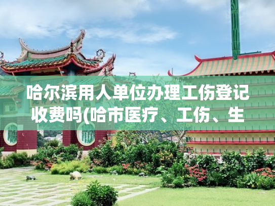 哈尔滨用人单位办理工伤登记收费吗(哈市医疗、工伤、生育保险全面推进网上办公|居民医保可在社区“一站式”办理)