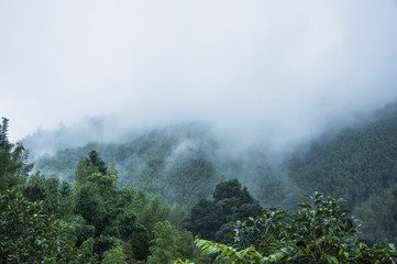 武汉有比较适合老年人游玩的地方吗-武汉哪些地方比较适合老年人游玩(明天过节，这些人出游，免票！)